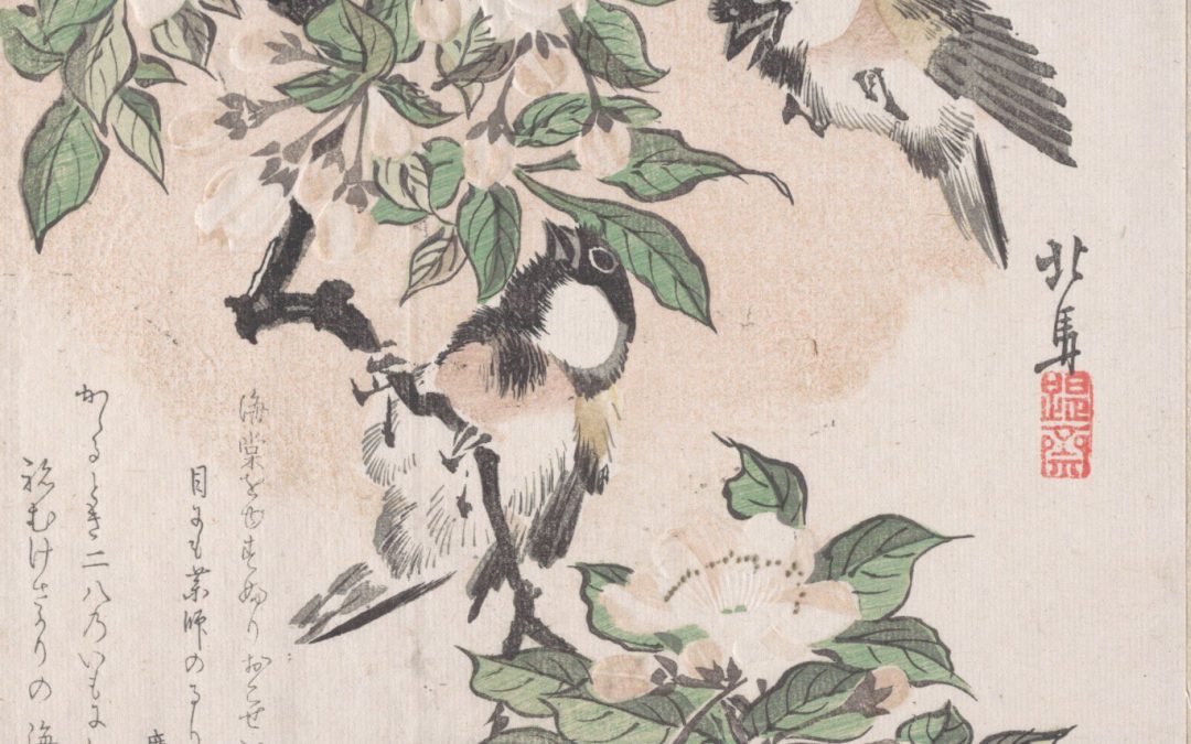Seven Haikus on Bird Prints / Șapte haiku-uri pe stampe cu păsări